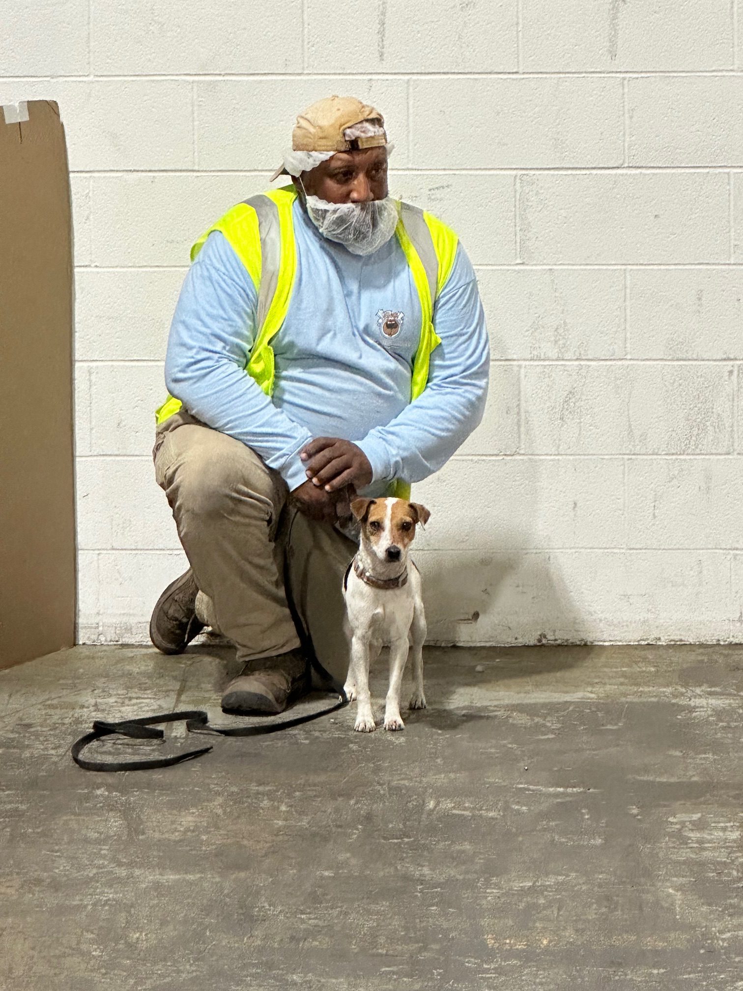 Coastal K-9 detection dog conducting a rodent inspection